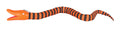 NBC GIANT SNAKE